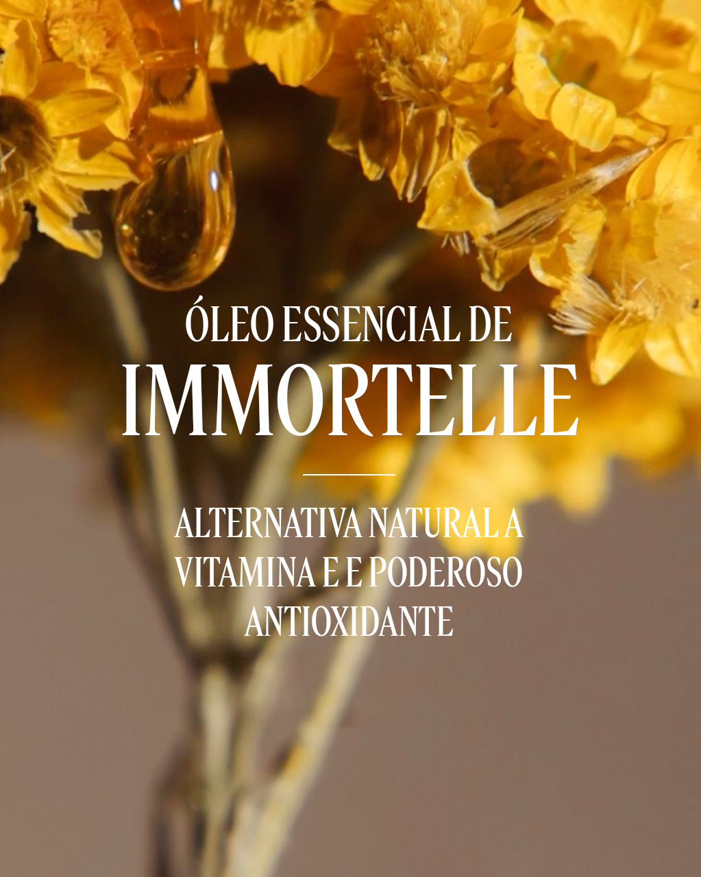 S&eacute;rum Immortelle Overnight Reset, , large